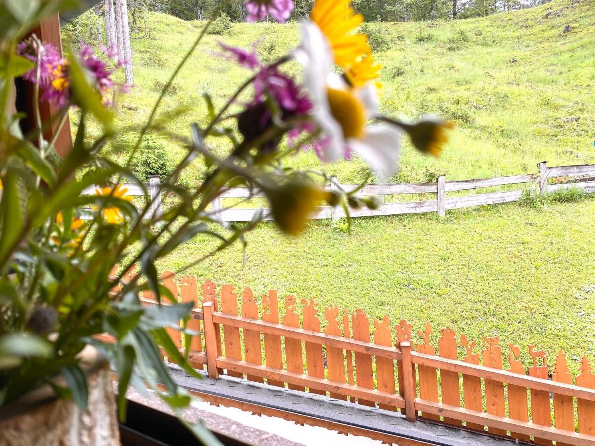 Arnspitzblick Gasthof Scharnitz