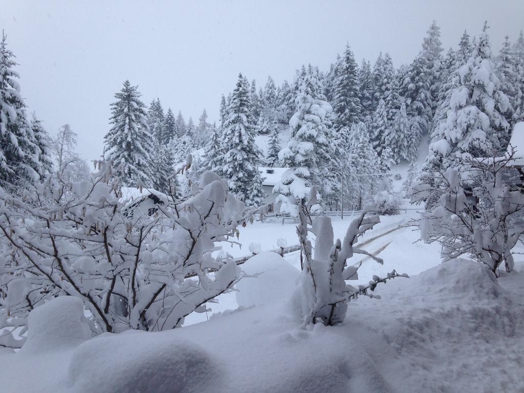 Arnspitzblick *